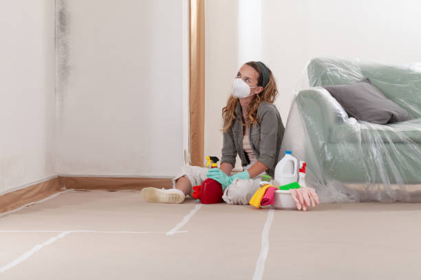 Reliable Mold Removal contractor in Sand Lake, MI by Car Mold Remediation